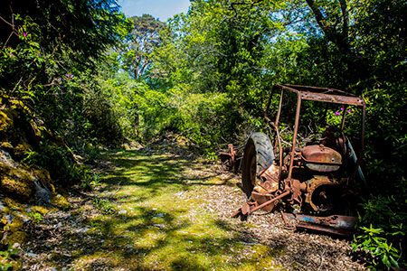 Rusting tractor